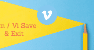 guardar archivo vivim