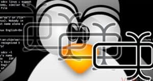 cambiar el nombre de archivos en linux 11