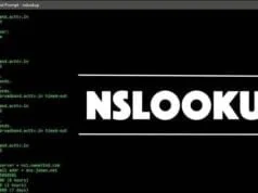 herramienta nslookup en el símbolo del sistema destacada