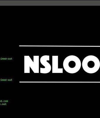 herramienta nslookup en el símbolo del sistema destacada